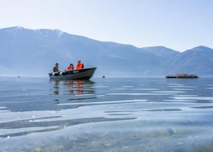 Casa Moscia Hostal *